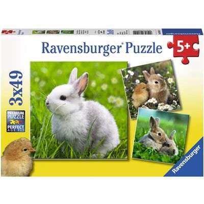 Spiel 2084.0